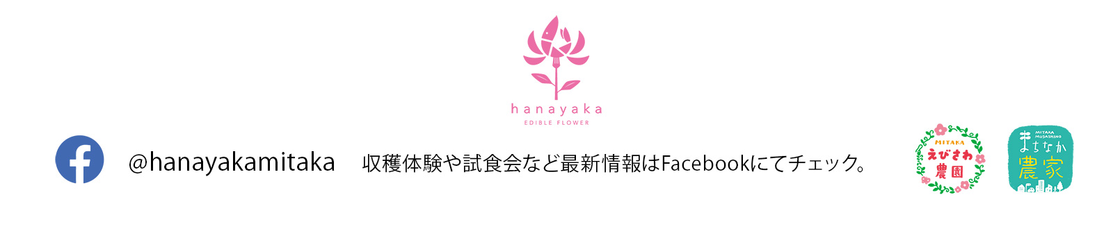 エディブルフラワー販売「hanayaka」のSNSへ