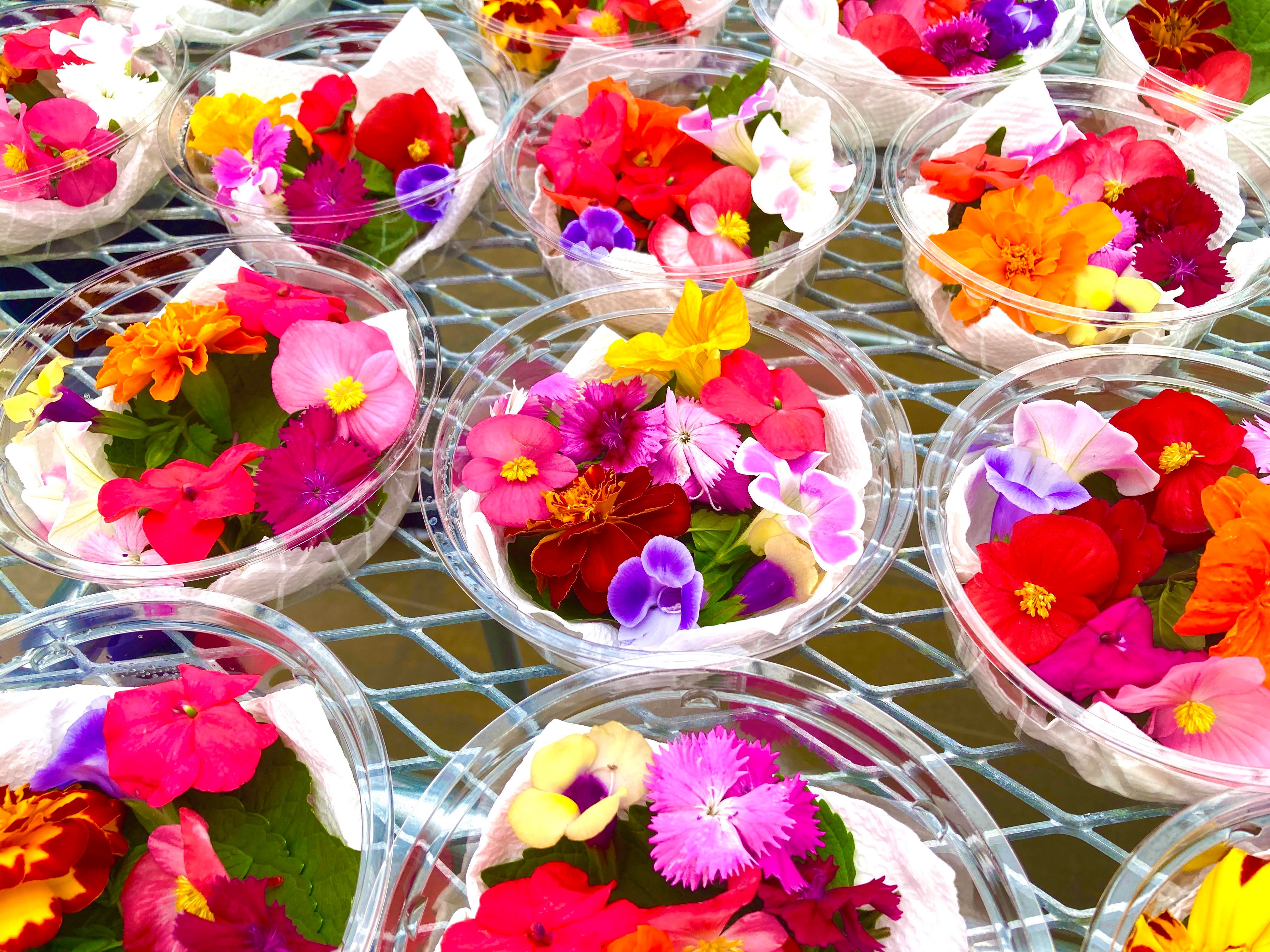 販売するエディブルフラワーのサンプルパック１箱