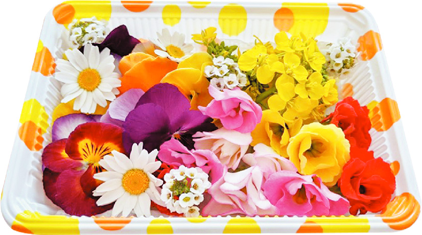 エディブルフラワーのサンプルパック１箱